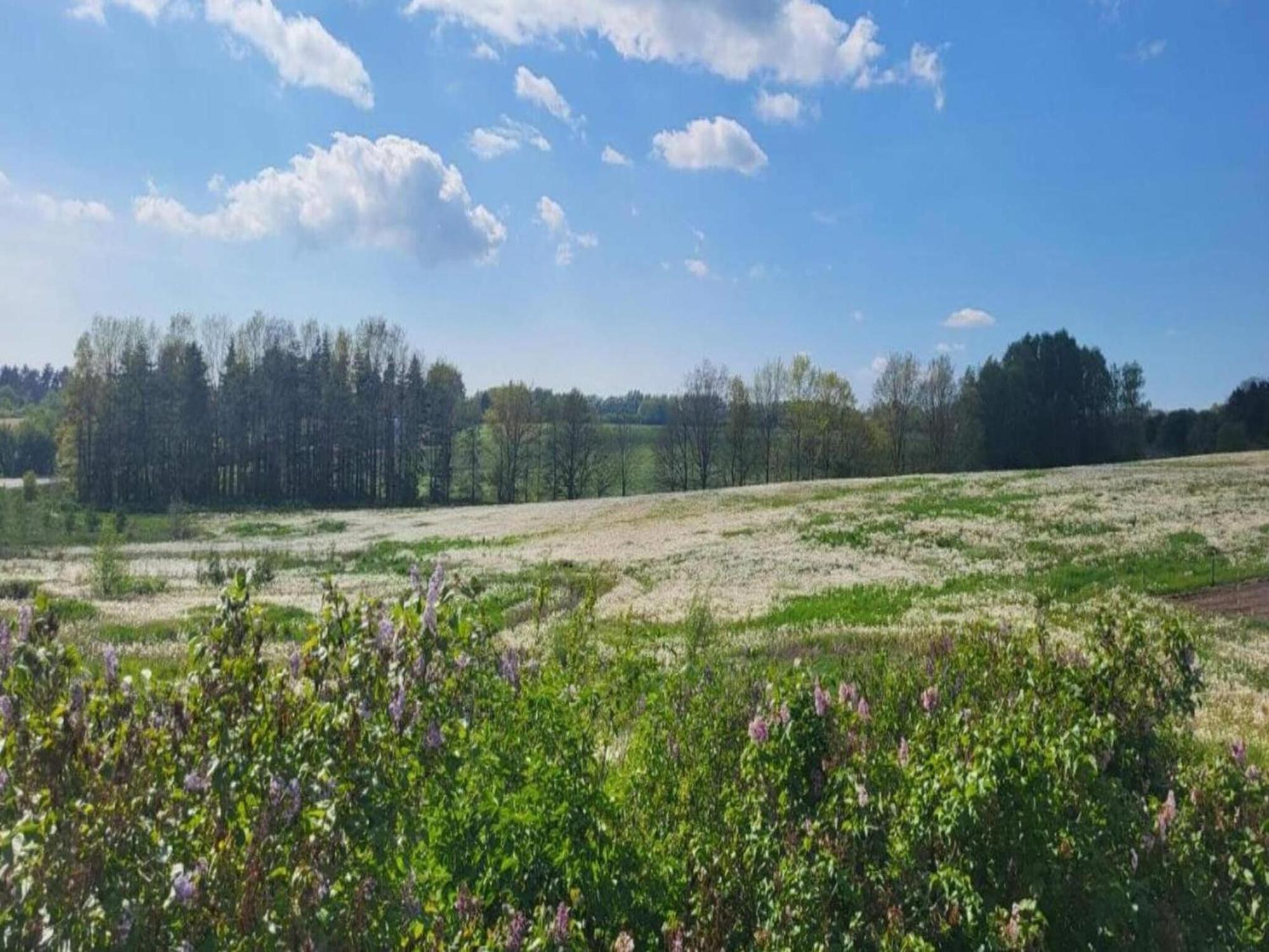 Lysbjerg Leilighet Fåborg Eksteriør bilde