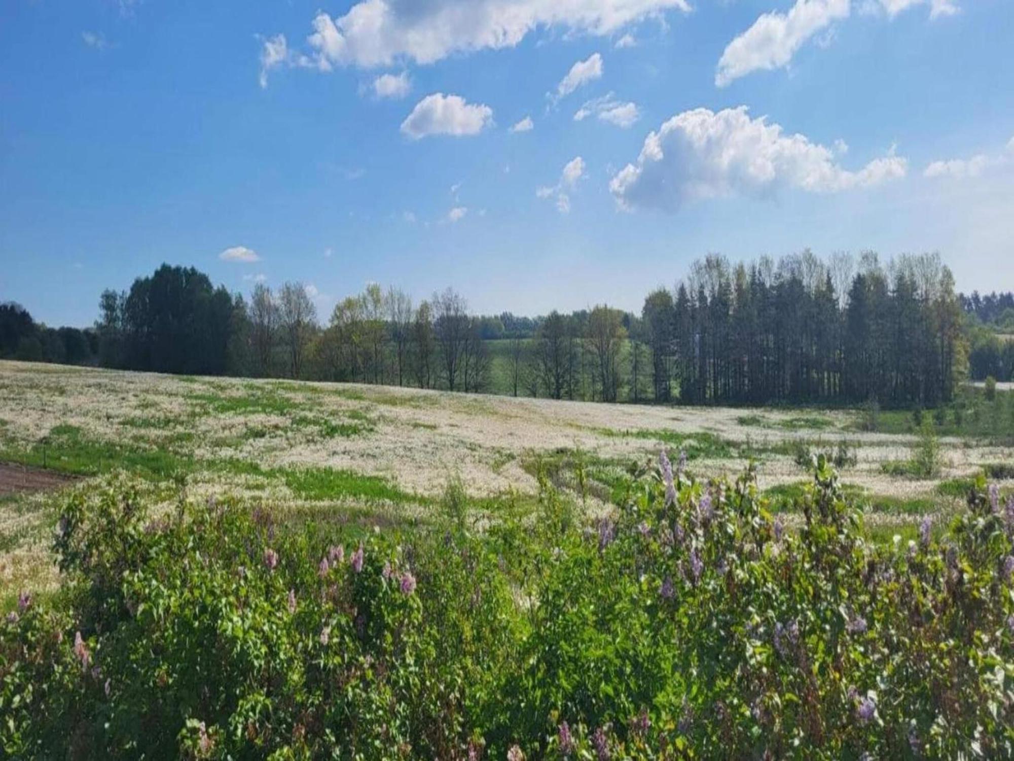 Lysbjerg Leilighet Fåborg Eksteriør bilde